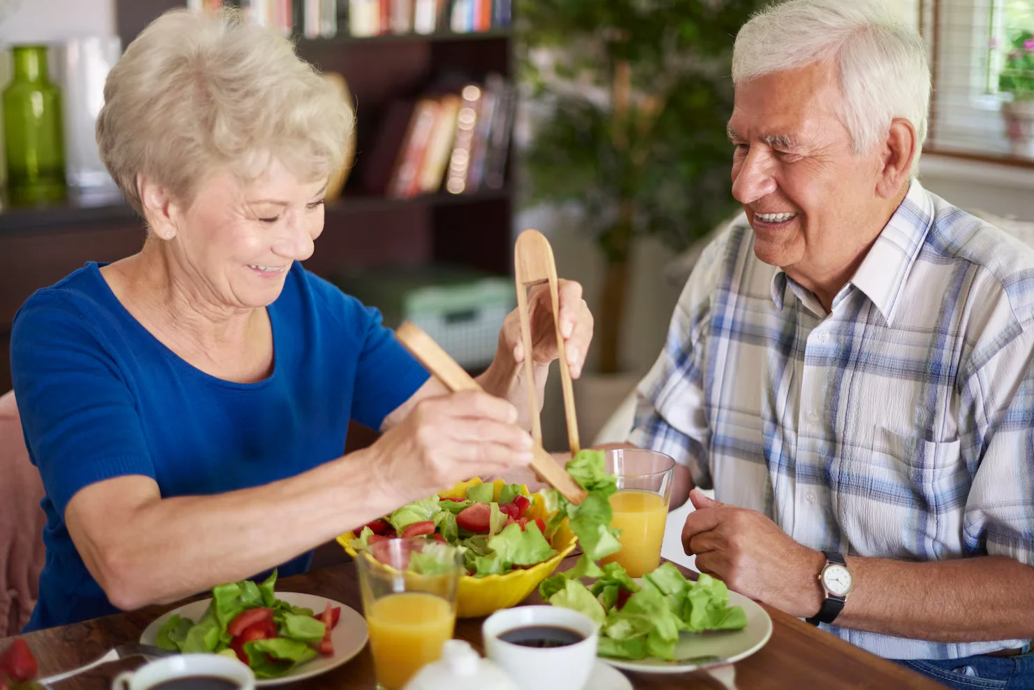 healthy meals for seniors